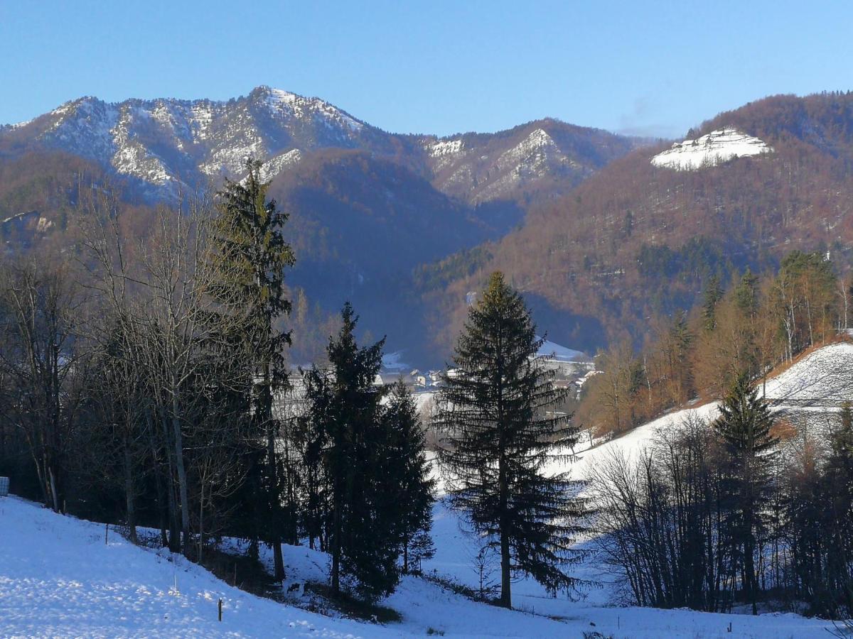 B&B Cerne Polhov Gradec Dış mekan fotoğraf