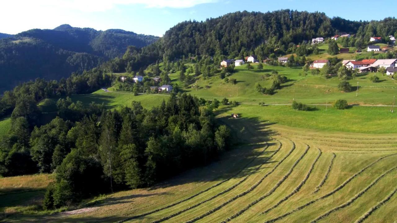 B&B Cerne Polhov Gradec Dış mekan fotoğraf